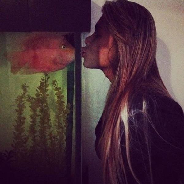 Рыбы целуются 