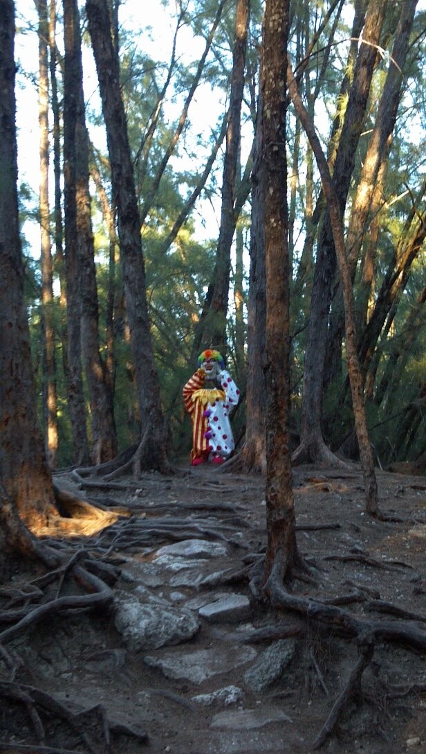 Клоун в лесу