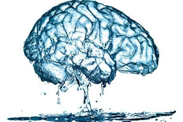 23. Ваш мозг состоит в основном из воды и жира .