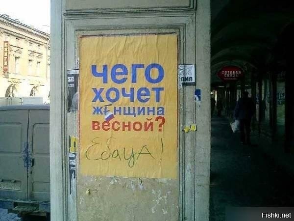 Из солянки