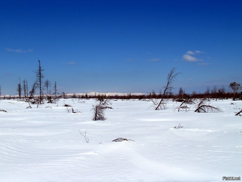 Бескрайние просторы