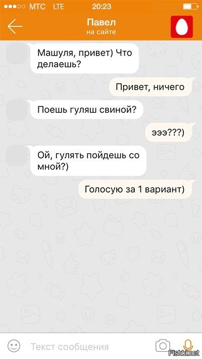 Из солянки