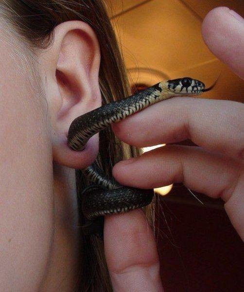 Змейка в ухе