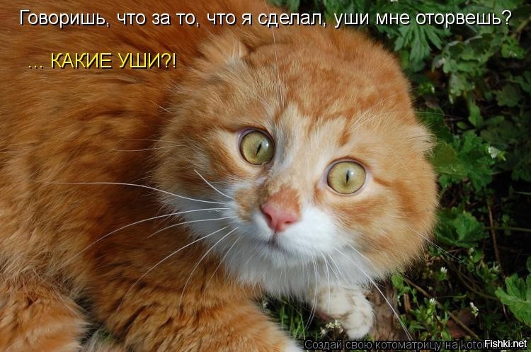 Нашкодничал