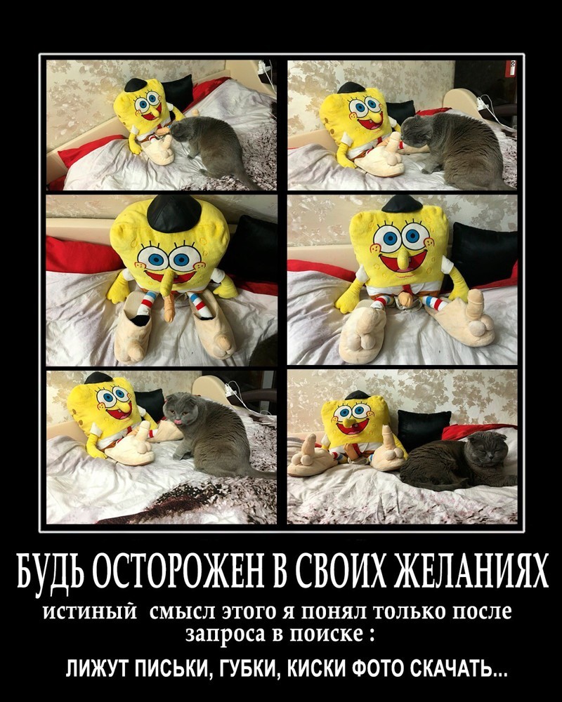 Все по запросу