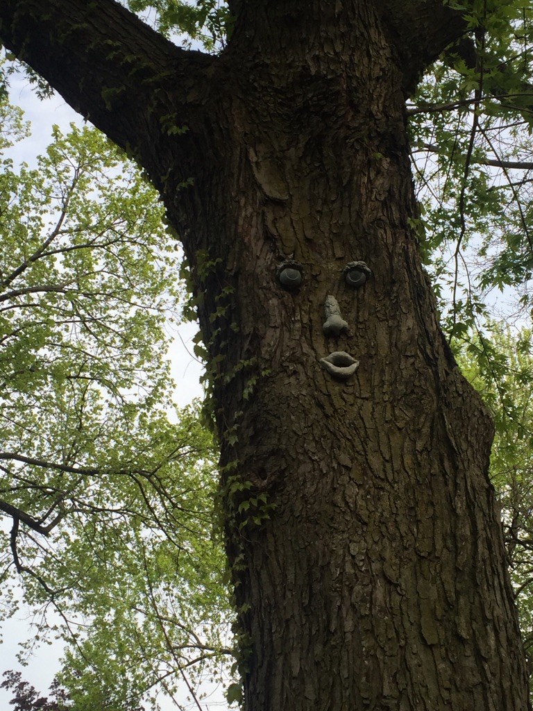 Дерево с лицом 