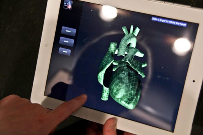 Мастерица потратила более 1000 часов на вязание анатомической модели сердца из проволоки
