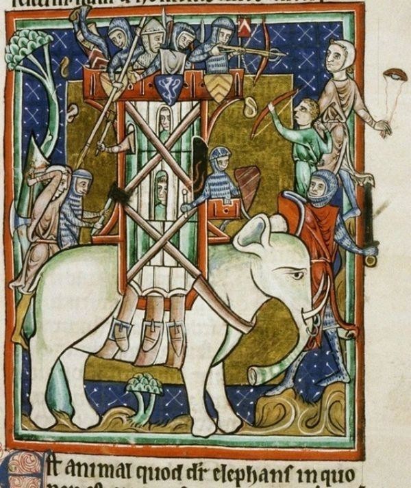 Как средневековые художники слонов рисовали 