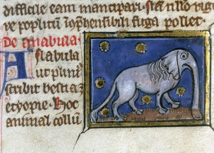 Как средневековые художники слонов рисовали 