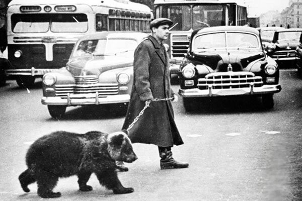 Всё нормально, я просто выгуливаю своего медведя (1963)
