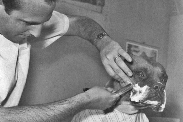 Фотография с собакой в парикмахерской (1961)