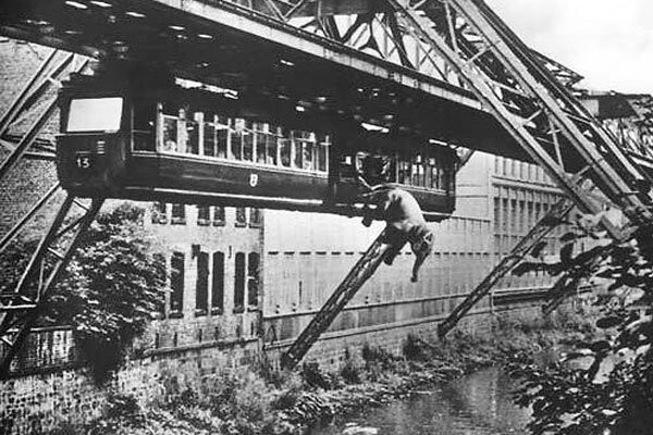 Слон выпал из поезда (1951)