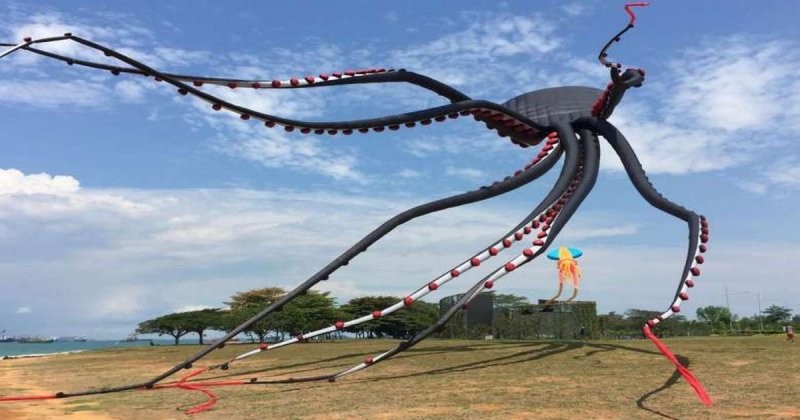 Этот огромный осьминог — настоящее небесное чудо! Воздушный змей, о котором мечтает каждый