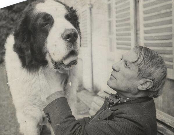 Пабло Пикассо с сенбернаром. 1936 год