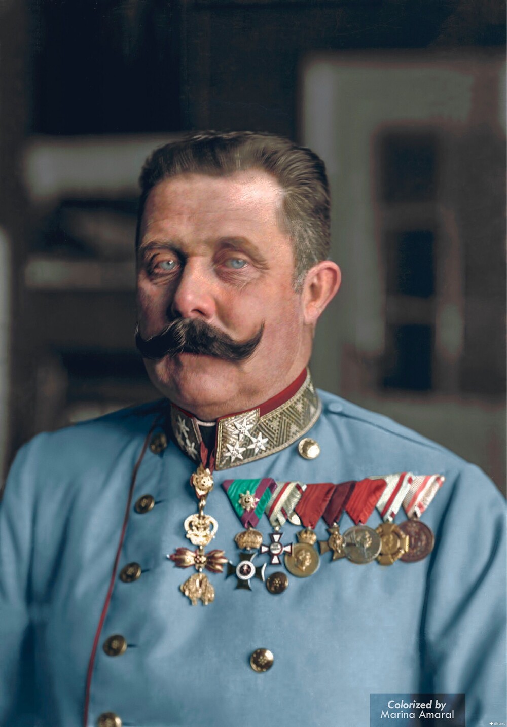 Франц Фердинанд, 1914 год, Австрия