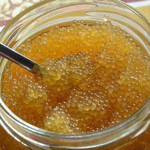 В Тюменской области начали производить зернистую икру щуки