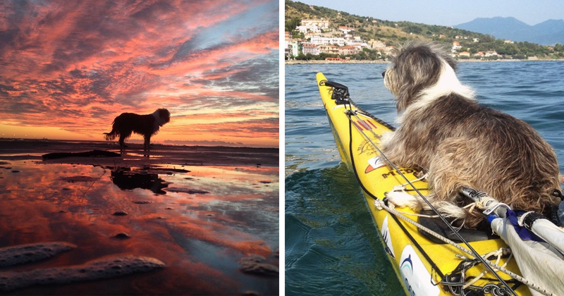 По Средиземному морю на каяке: мужчина уволился с работы и отправился в плавание вместе с собакой 