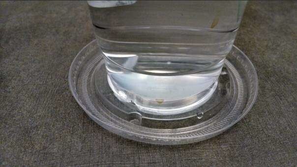 3. Крышку от пластикового стакана с горячим напитком можно использовать как подставку