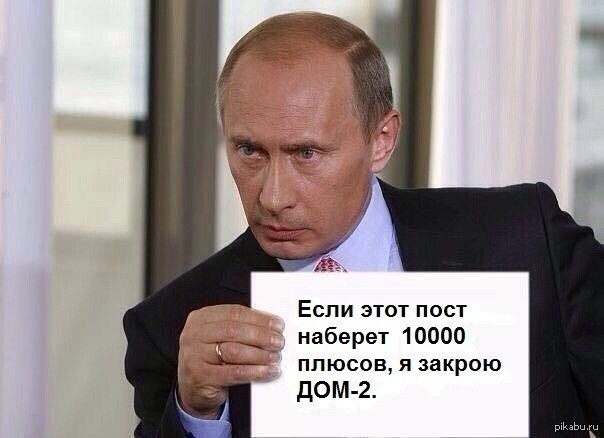 Отношение к Владимиру Путину