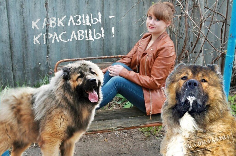 Смешной фотошоп