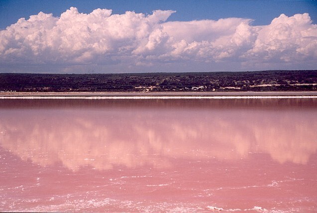Озеро Хильер розового цвета