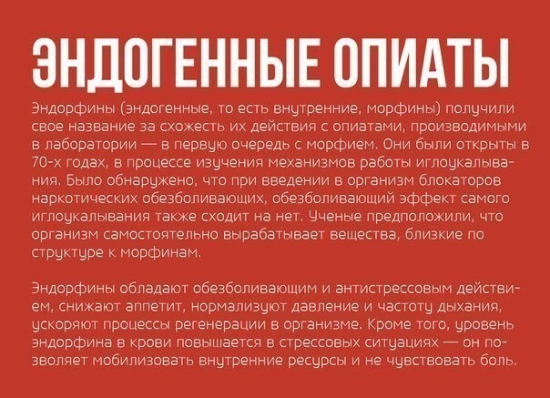 Чем упарывается твой организм