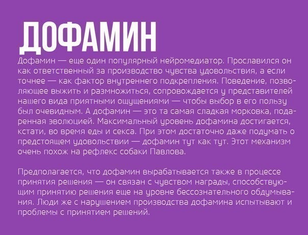 Чем упарывается твой организм