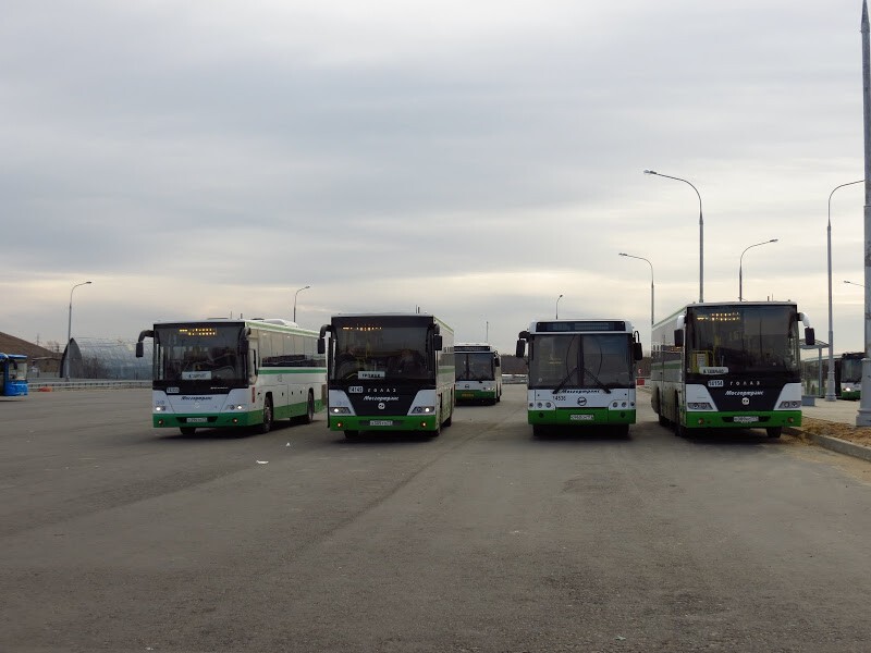 Чтобы станция не простаивала зря, здесь сделали гигантскую конечную для автобусов, следующих в Новую Москву и аэропорт Внуково