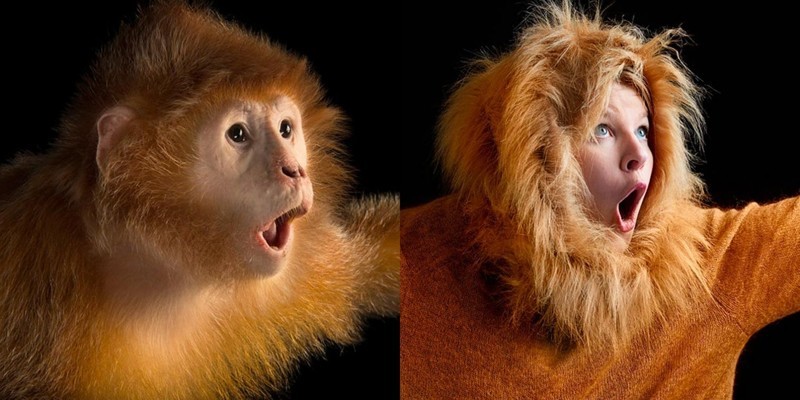 Когда люди пародируют животных или забавные пародии на Instagram National Geographic 