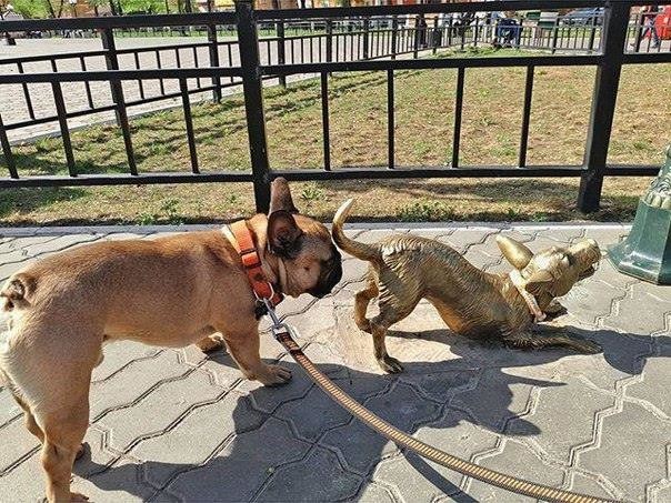 Инстинкт