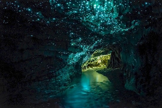20. Звездное небо из светлячков - светящиеся пещеры Вайтомо (Новая Зеландия)