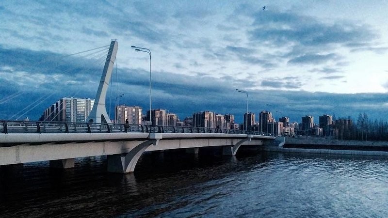 Добьемся отмены переименовывания моста в Санкт-Петербурге в честь Кадырова