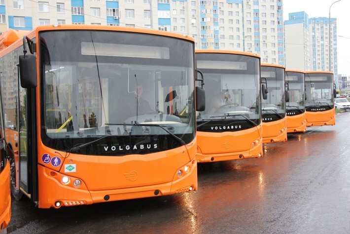 Volgabus