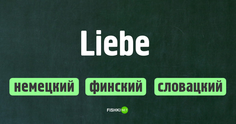 На каком языке написано слово?