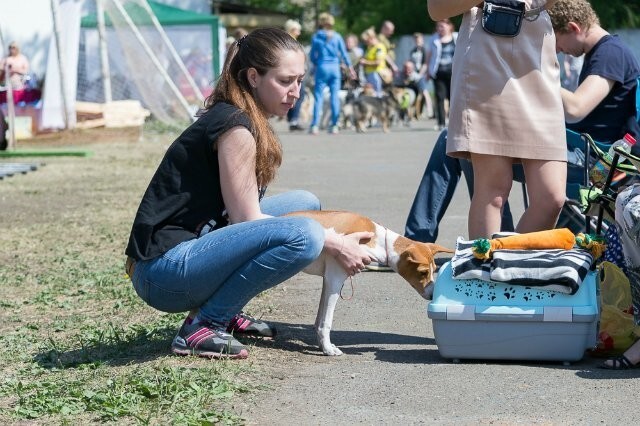 Неужто там кто то поместился?