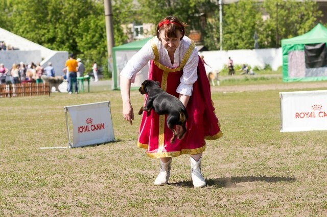 но могу немного попрыгать. Если попросишь.