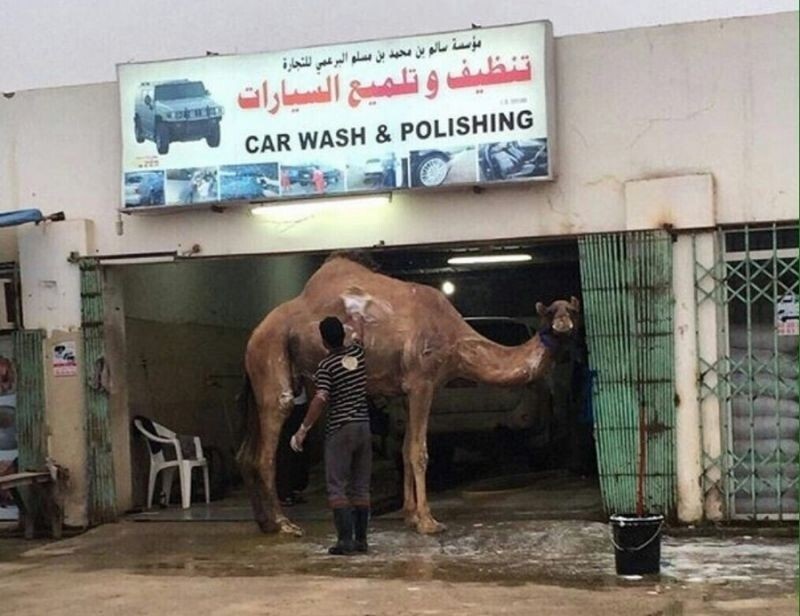 Когда решил помыть своё транспортное средство