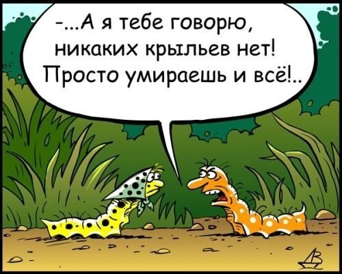 Немного юмора на эту тему...