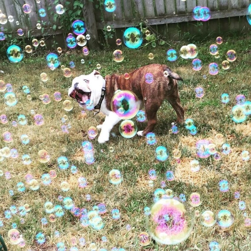 Сколько пузырьков!