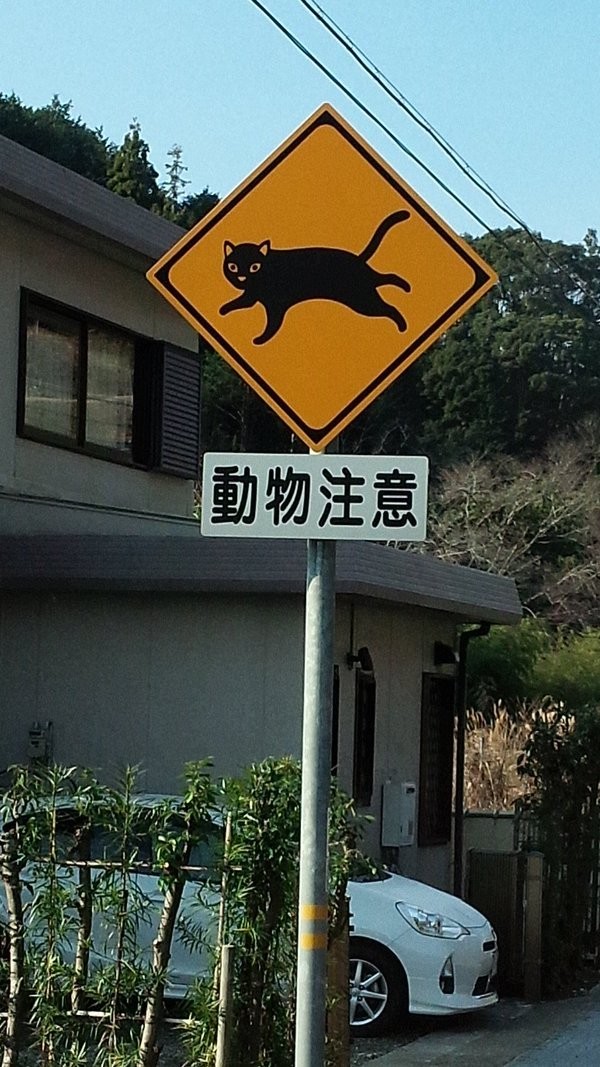 Японский знак "осторожно, перебегающие дорогу животные"