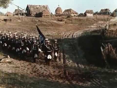 ООН обвиняет Киев в безнаказанности добровольческих батальонов и радикалов и требует разоружить их 