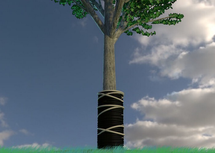 7. Защитите молодые побеги деревьев  во время сильных ливней или газонных работ
