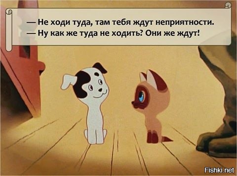 Из солянки от 09.06.2016