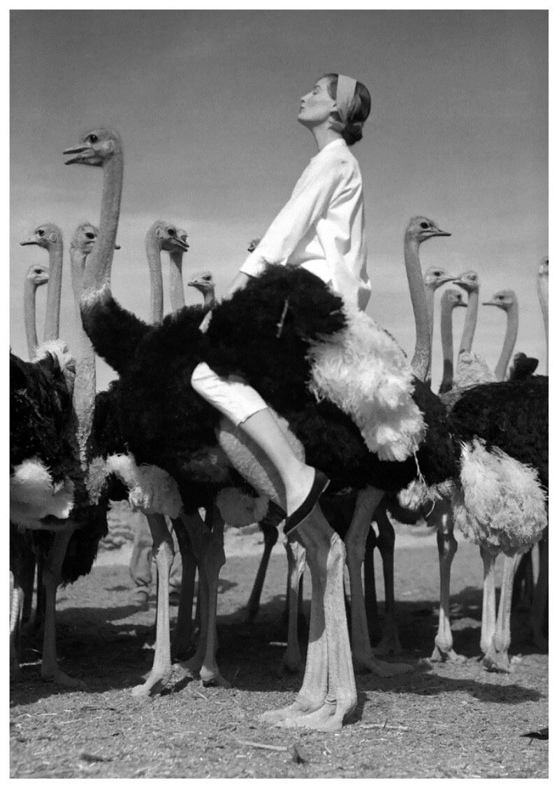 Норман Паркинсон – эксцентричный британский мастер, который вдохнул жизнь в модную фотографию