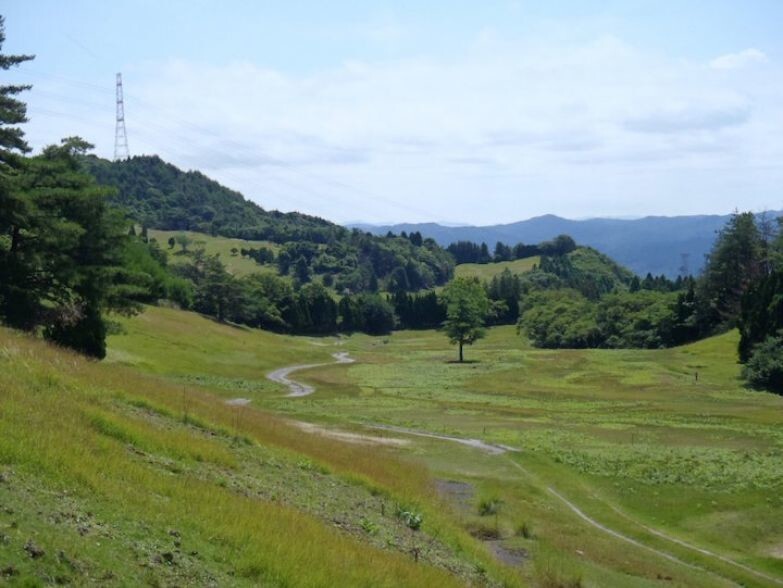 Брошенные поля для гольфа в Японии стали полями с солнечными батареями