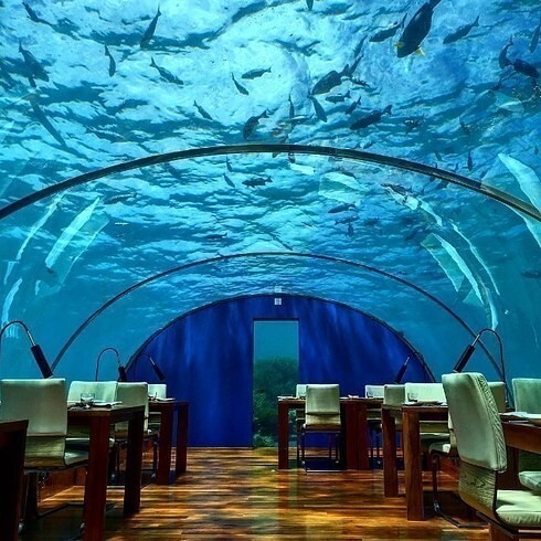 Ithaa Undersea Restaurant, остров Рангали, Мальдивы