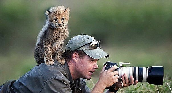 Фотограф-анималист