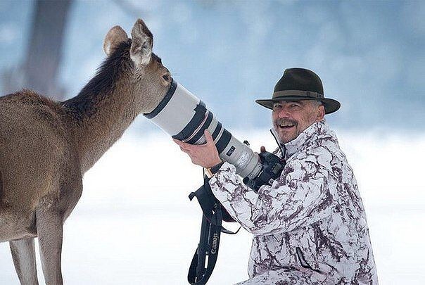 Фотограф-анималист