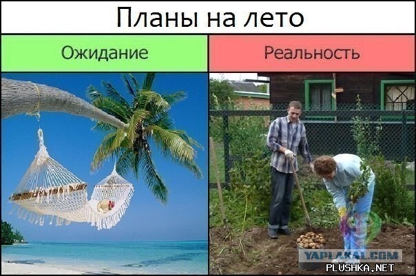 Ожидание и реальность