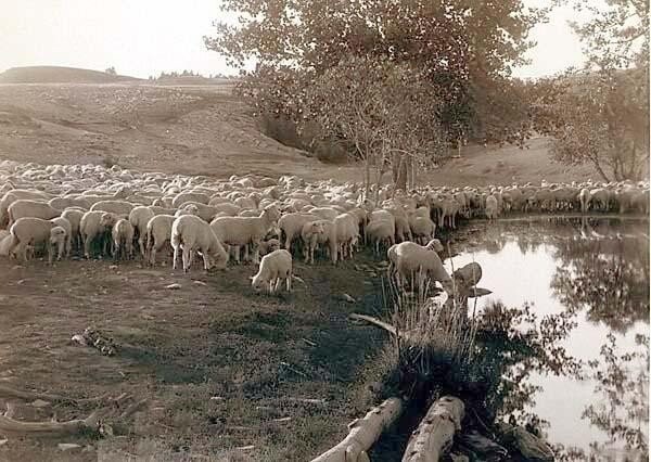 Редкие фотографии Америки времен дикого запада часть вторая